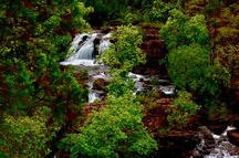 Stunning Florence Falls in Litchfield National Park, Australia Stunning Florence Falls in Litchfield National Park, Australia